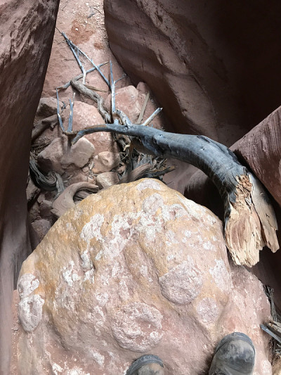 鹿皮谷槽峡谷