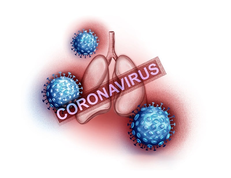 人类肺部和冠状病毒