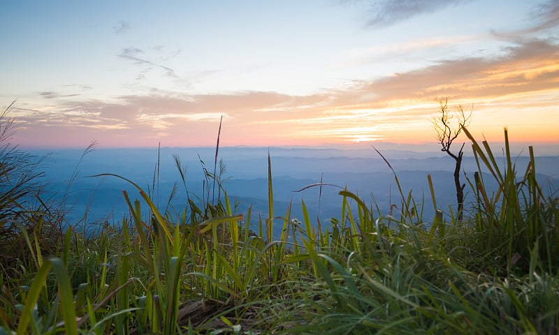 在泰国Phu Langka国家公园，金色的夕阳与枯树