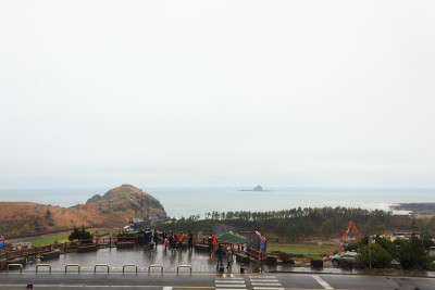 济州岛的冬季景观