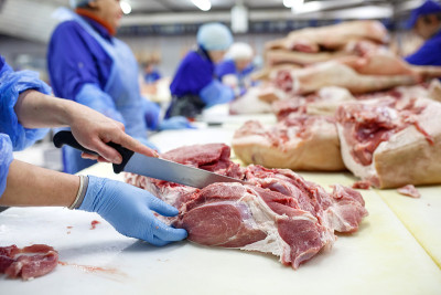 在屠宰场切肉。在肉类加工厂切猪肉的屠夫。