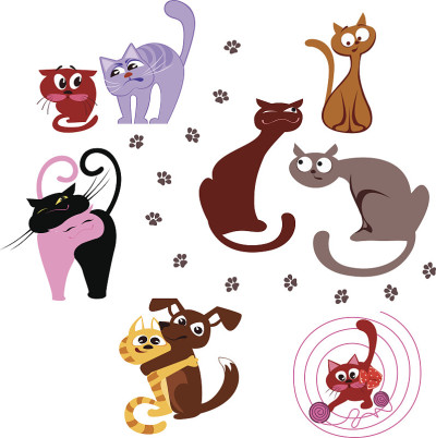 猫