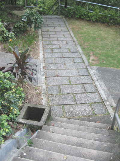 路径