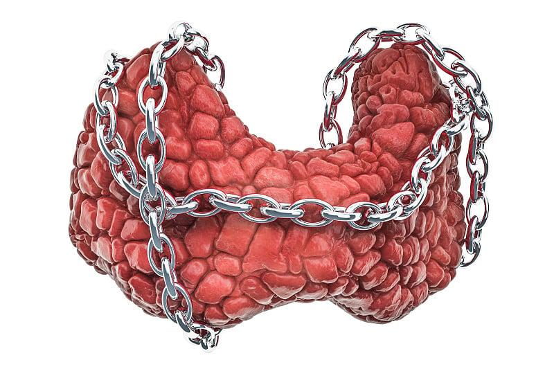 甲状腺疾病的概念。人甲状腺带链。3D渲染孤立的白色背景