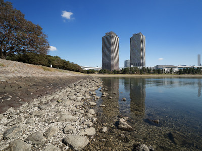 台场海滩公园和塔大厦