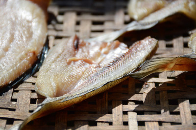 干纹黑鱼生食