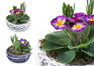 束鲜花