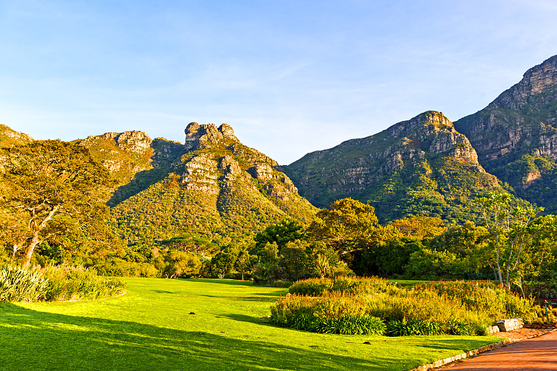 南非开普敦的Kirstenbosch国家植物园