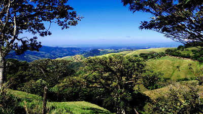 山