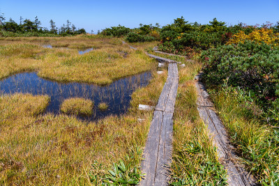 Chumondake山的沼泽和山路