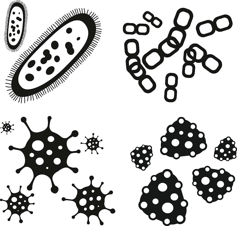细菌病毒载体图标