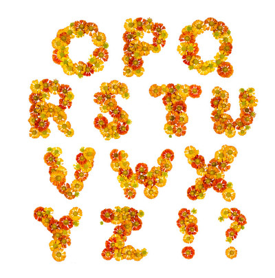 花字母