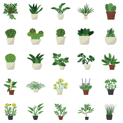 Houseplant Decor Flat Icons