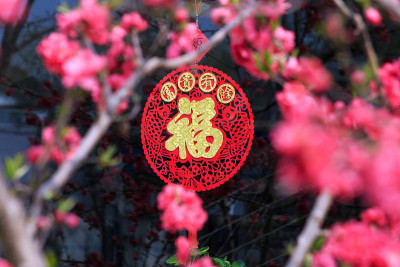 粉红色的桃花