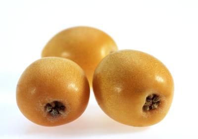 枸杞，枇杷，白底水果