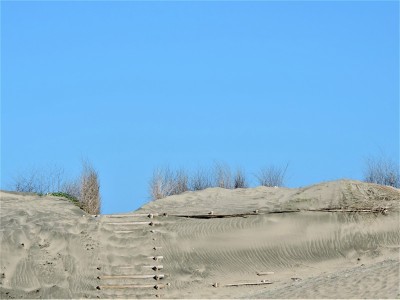 这些沙丘不是在撒哈拉沙漠。这是日本千叶久宿岛的海岸。