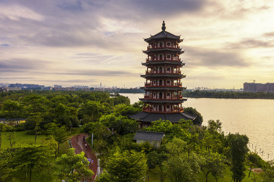湿地公园清晨的天空和高塔附近的湖