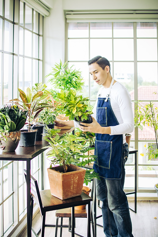 亚洲人花商站在花卉商店，手里拿着盆栽和蓖麻