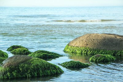 海滩