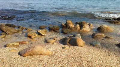 泰国苏梅岛海滩上的岩石和海藻。