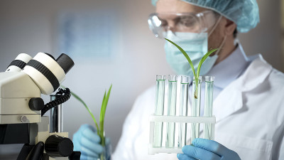 生物学家在试管中检查绿色植物，农业实验，激素