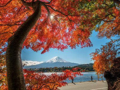 富士山秋色，日本