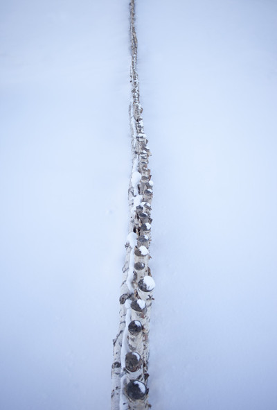 雪中的木栅栏