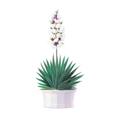 vector cartoon plants clip art