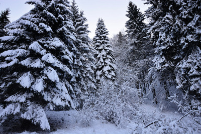 美丽的冬季景观与冰雪