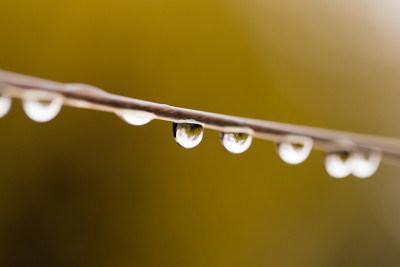 小雨打在电线。宏