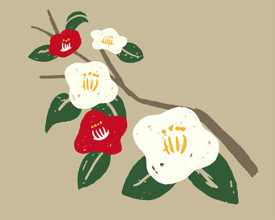 山茶花的插图。
