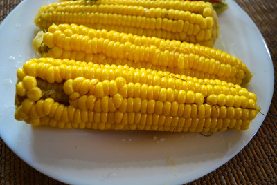 美味的黄甜玉米卷和新鲜蔬菜沙拉装在白色的玻璃盘子里。