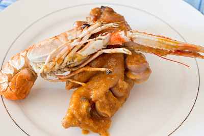 褐家鼠蹄子
