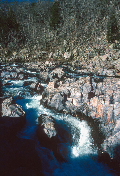 Johnson's shutins SP -级联通道垂直- 2004