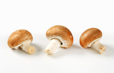 意大利棕色蘑菇