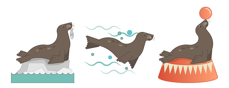海狮的插图