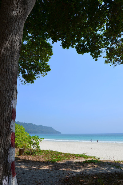 哈夫洛克岛上的海滩和大海