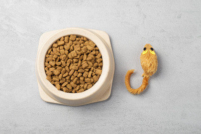 干猫粮，老鼠猫玩具上的灰色背景俯视图。