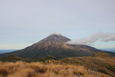 山