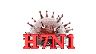 H7N1疾病，抽象病毒模型