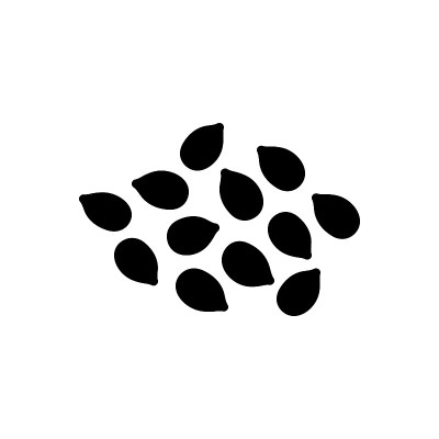 芝麻