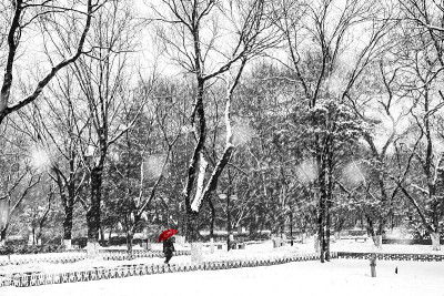 在大雪中行走