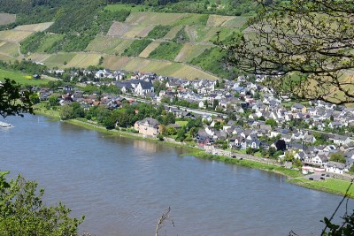 莱茵Andernach当地附近