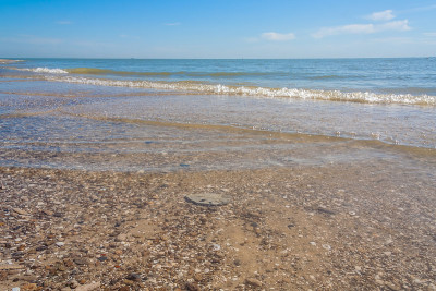 海夏日早晨