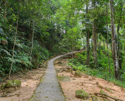 泰国森林徒步旅行路线