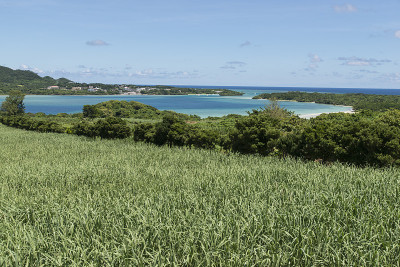 甘蔗田和卡比拉湾，石垣岛，冲绳