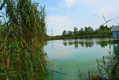 美丽的萨马拉河风景如画的陡峭的河岸和海岸，树木，绿色植物和丰富的天空。明亮而令人难忘的自然，舍普琴科