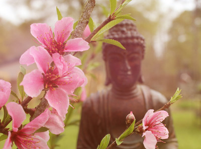 粉红色的桃花与佛像背景