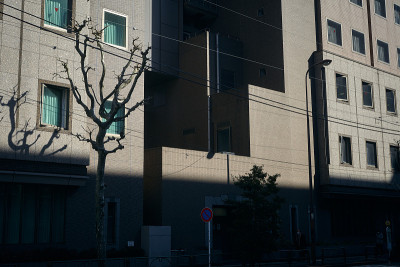 东京建筑
