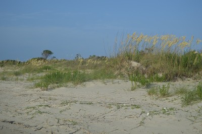 圣西蒙岛GA海滩
